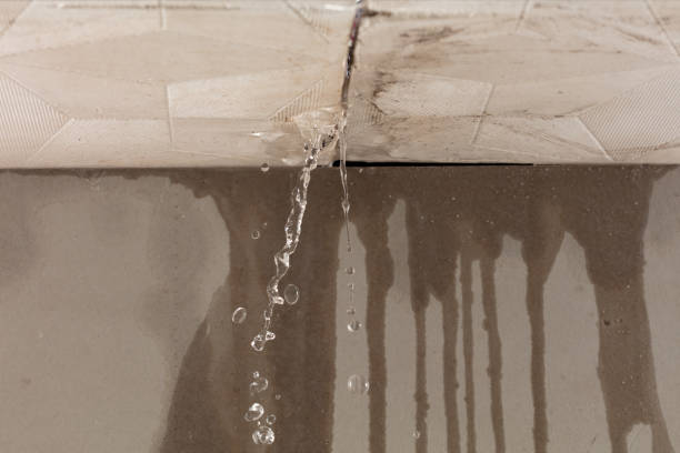 Professional Flood Damage Cleanup technician working in Nauvoo, AL